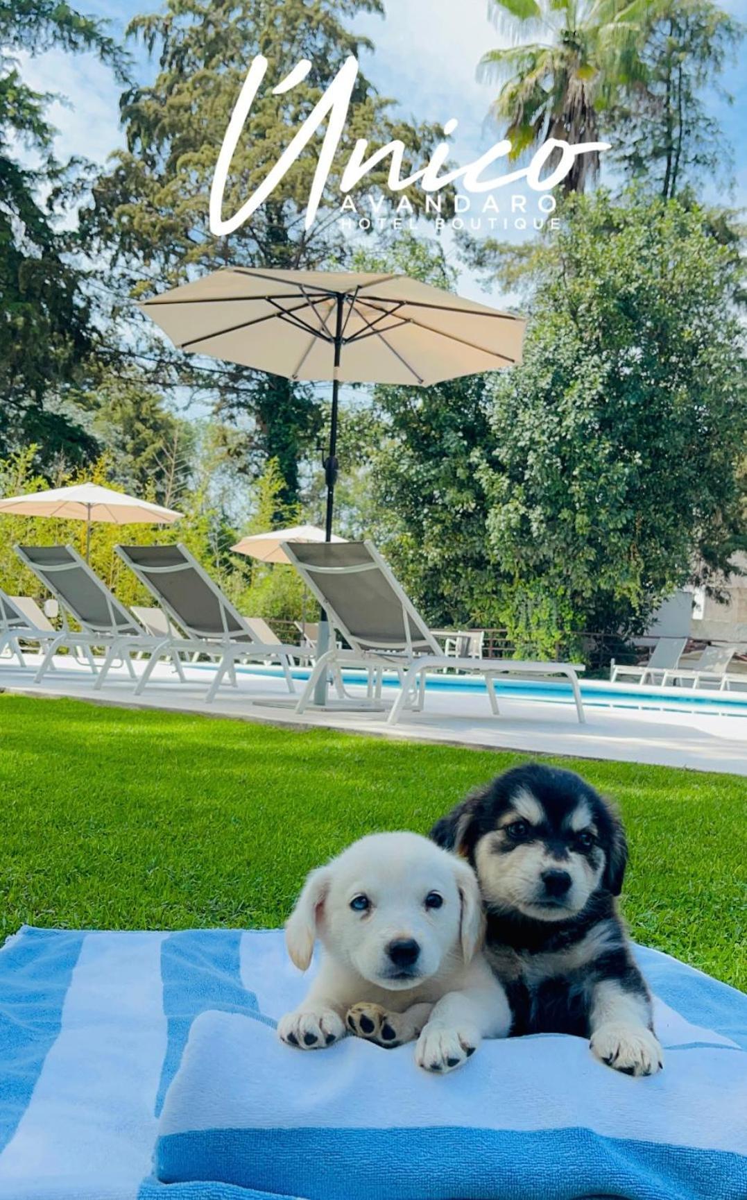 Hotel Boutique Unico Avandaro Valle de Bravo Esterno foto